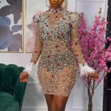 Crystal Feather Bodycon Dress - Divine Diva Beauty