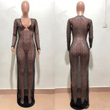 Black Mesh Sheer Bodycon Maxi Dress - Divine Diva Beauty