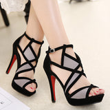 Flock Buckle Strap Color pumps - Divine Diva Beauty